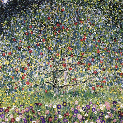 apple tree